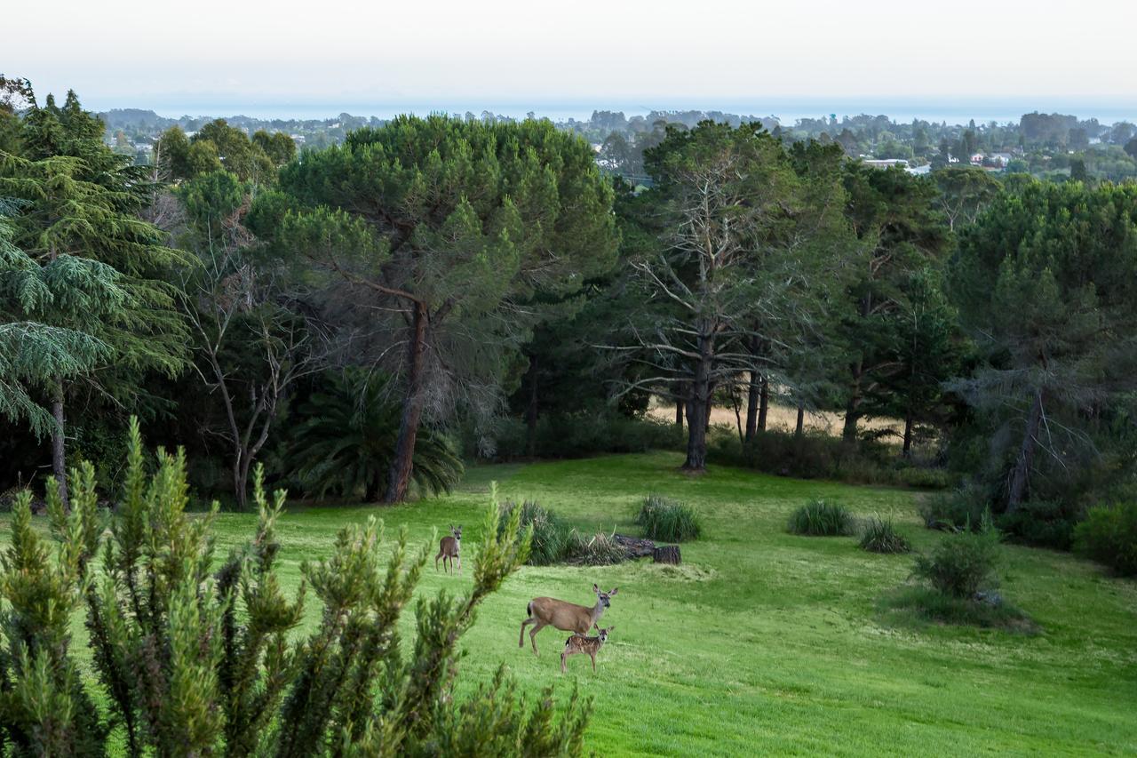 Chaminade Resort & Spa Santa Cruz Kültér fotó